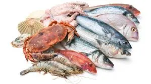 seafood