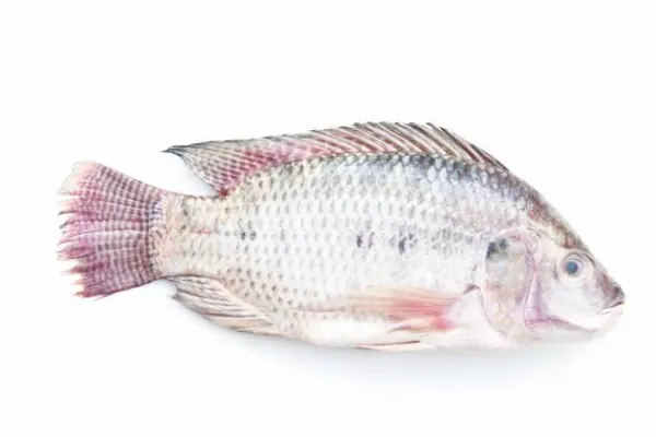 Seafood