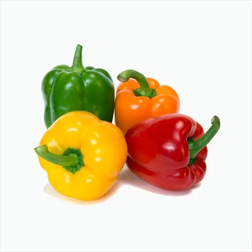 彩椒🫑/辣椒🌶️