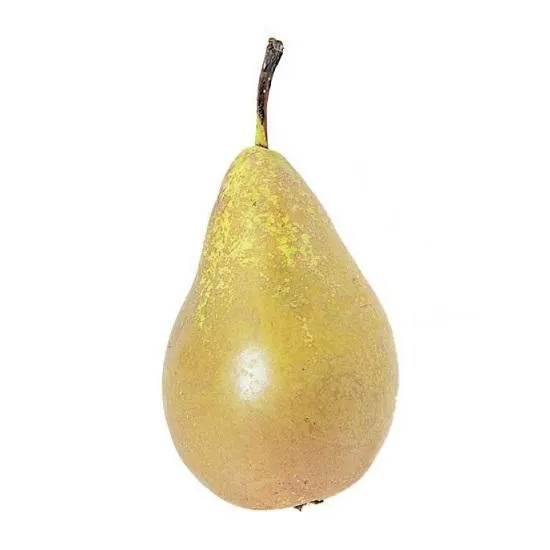 bosco-pears