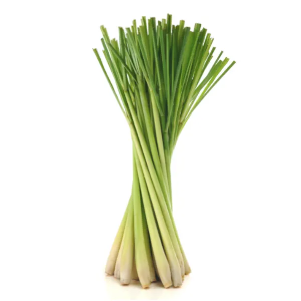 lomongrass