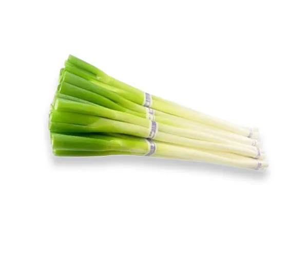 green-scaillion