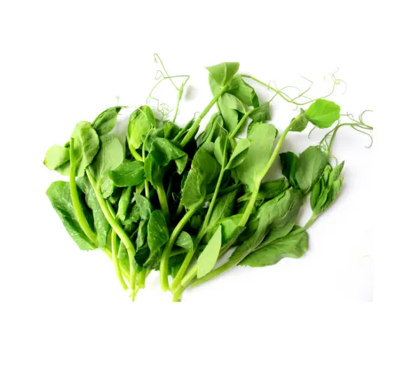 snow-pea-tips
