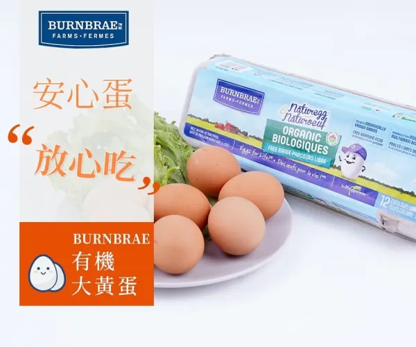 Burnbrae Naturegg From Free Range Hens Organic Eggs