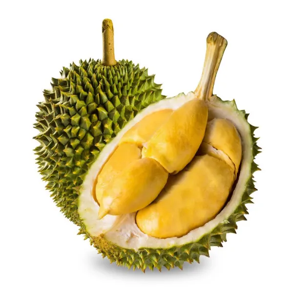 frozen-durian