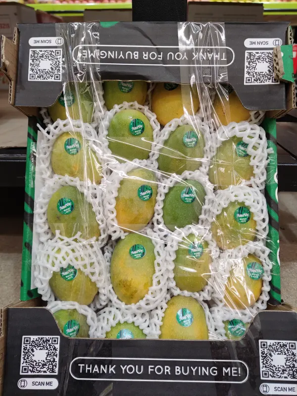sugar Mango（case)