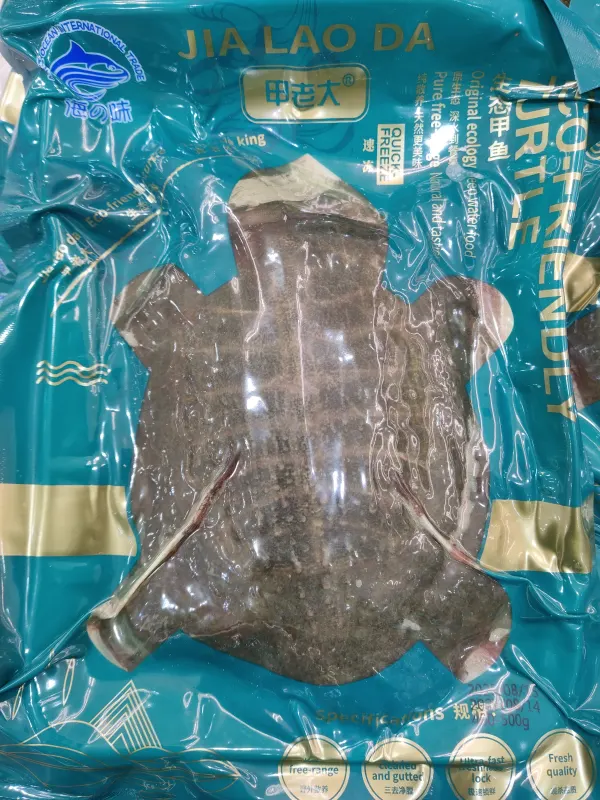frozen turtle