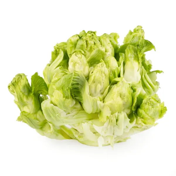 新鲜儿菜