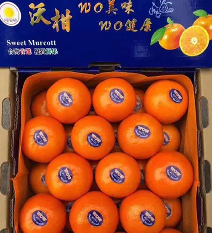 Tangerine (Case)