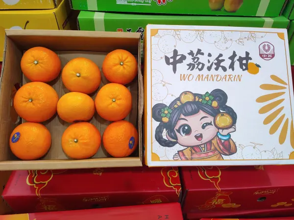 中荔沃柑礼盒（2.5kg)