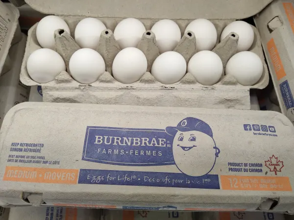burnbrae white egg (medium)