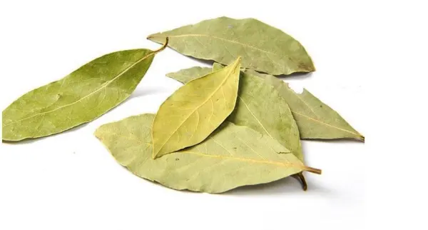 Bay Leaf