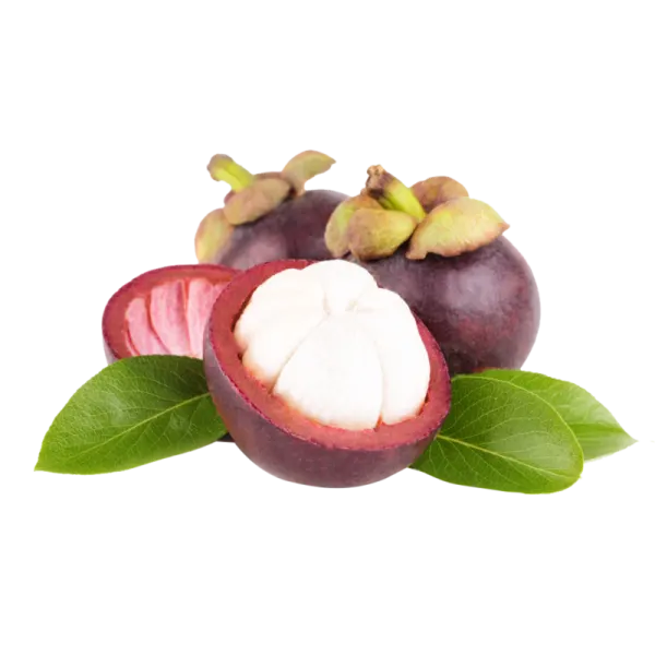 mangosteen-by-air