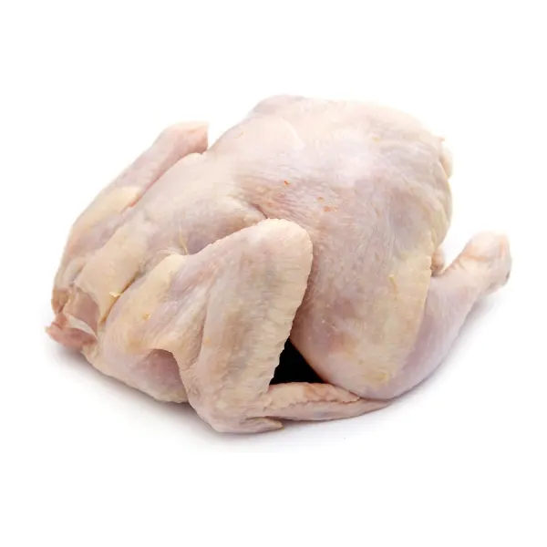 Young Chicken (pack)