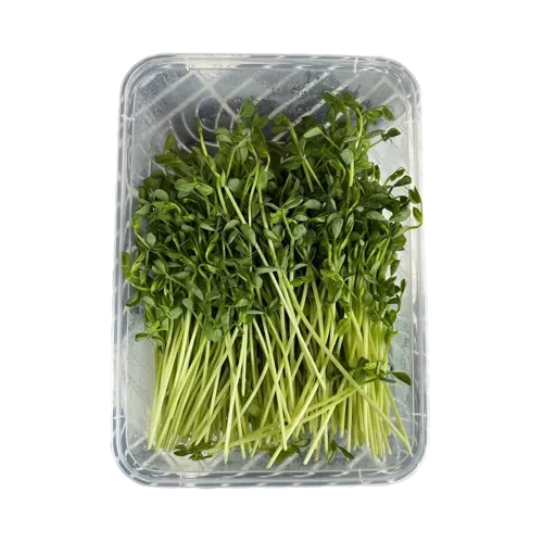 data-greenhouse-fresh-bean-sprouts-small-bag