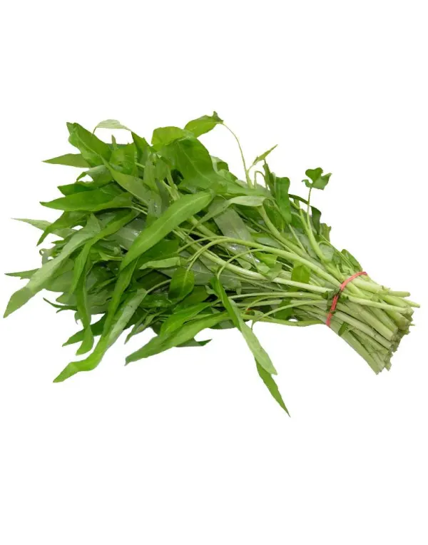 data-water-spinach