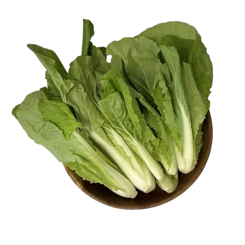 baby-choy-jr