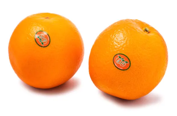 Sweet Orange