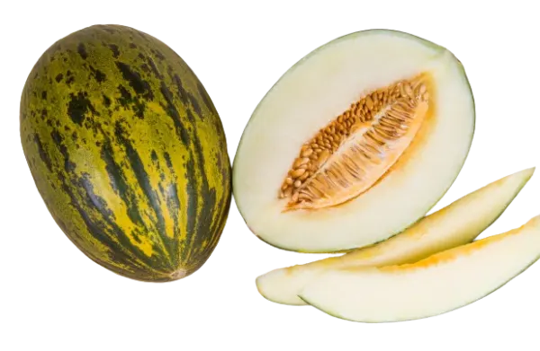Hami Green Melon