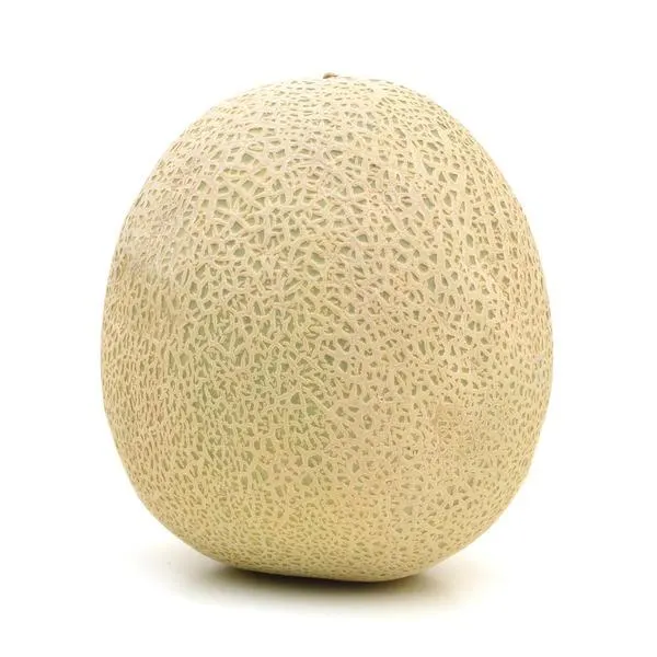 粗皮蜜瓜