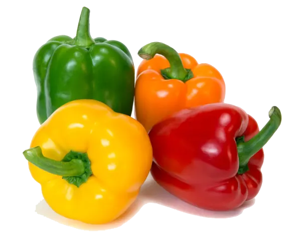 bell-pepper-with-4-colors