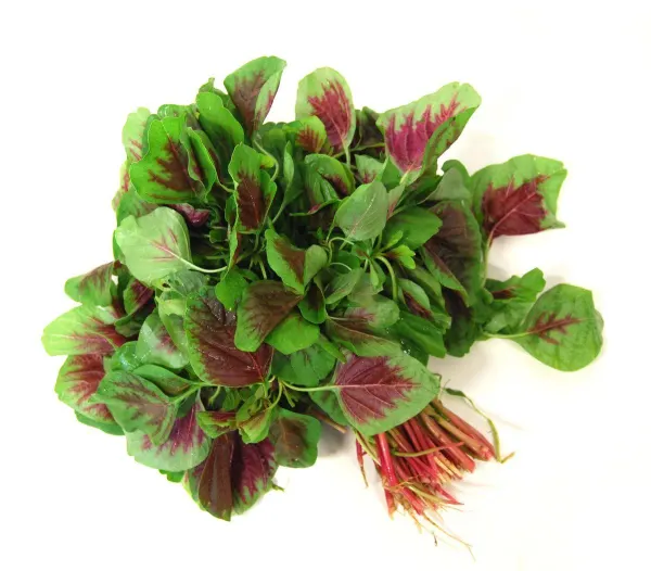 red-leeks