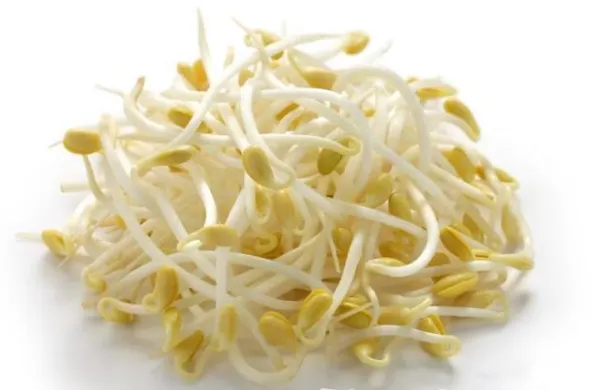 soybean-sprout