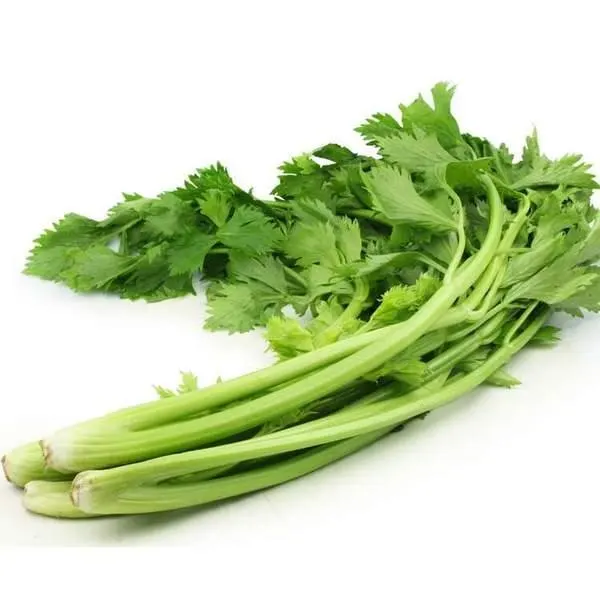 leaf-celery