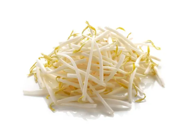 bean-sprout