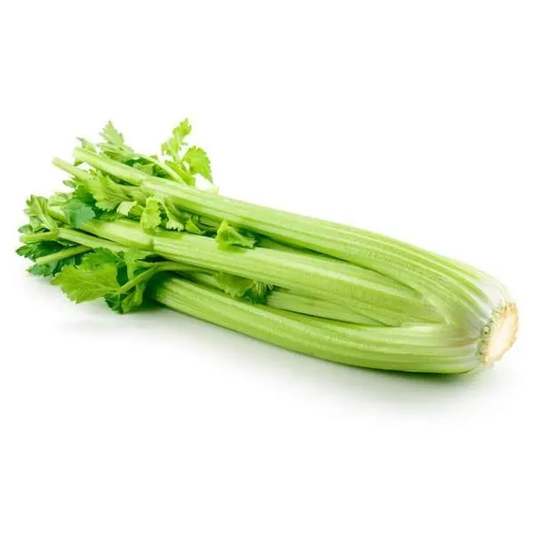 celery