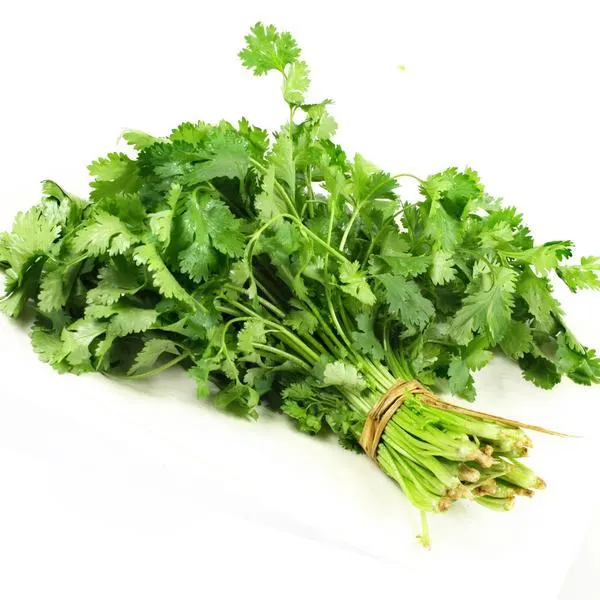 coriander
