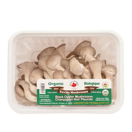 organic-enviro-oyster-mushroom-pack