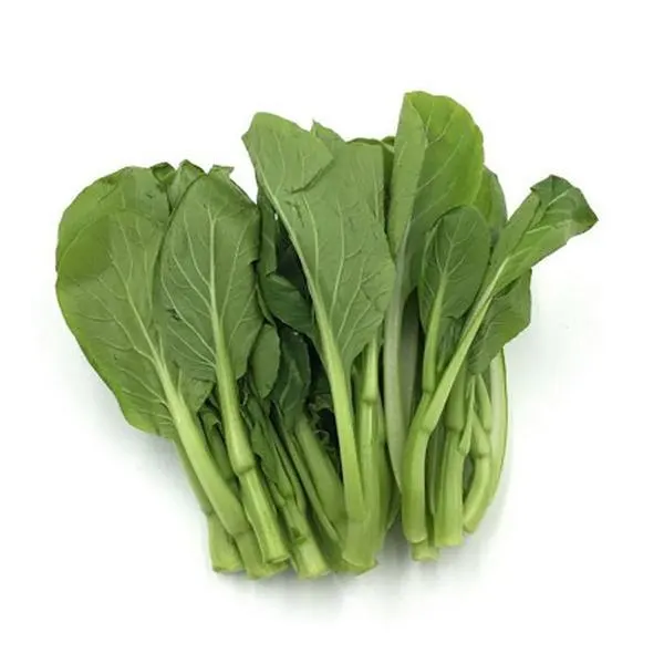 新鲜油菜苗 (袋装)