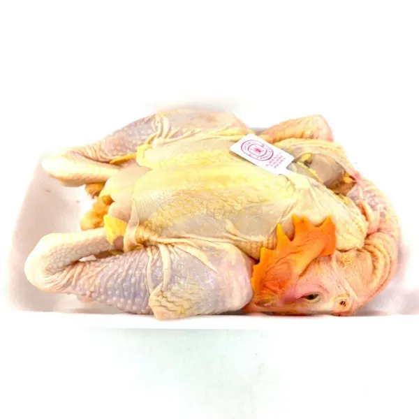 vision-farms-wenchang-chicken-poulet-no-antibiotics