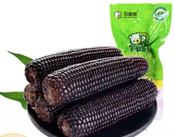 贝郎熊黑糯玉米