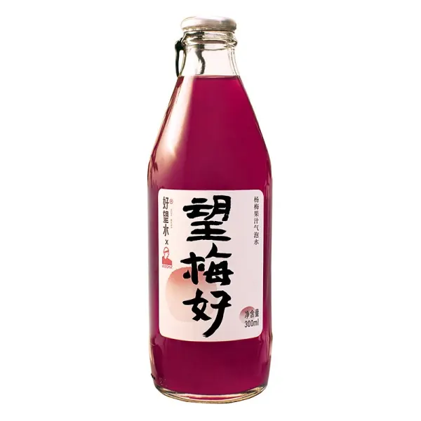 hws-sparkingdrink-waxberry-on-sale
