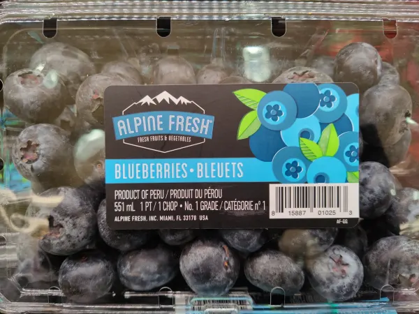 Alpine fresh Blueberries