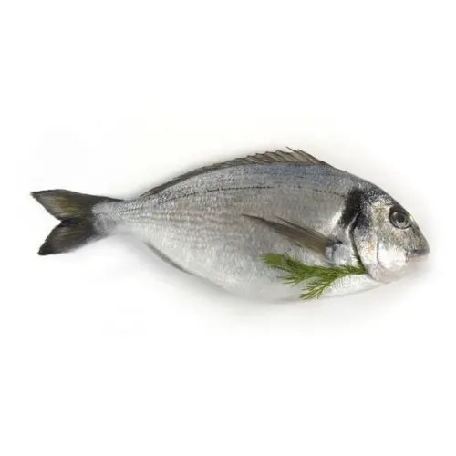 data-chilled-sea-breemsea-breem