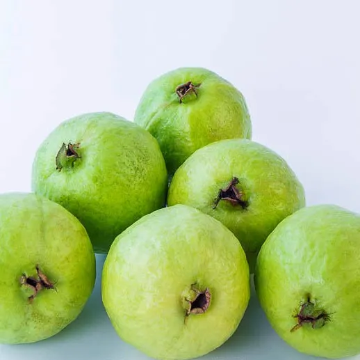 data-little-guava-boxed