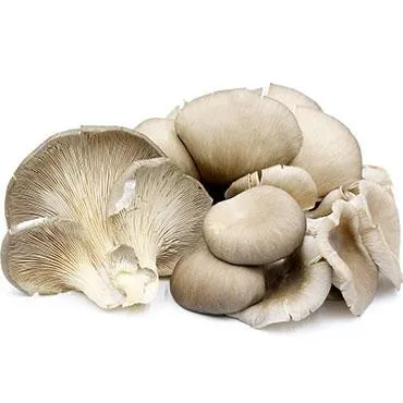 data-local-fresh-oyster-mushrooms-boxed