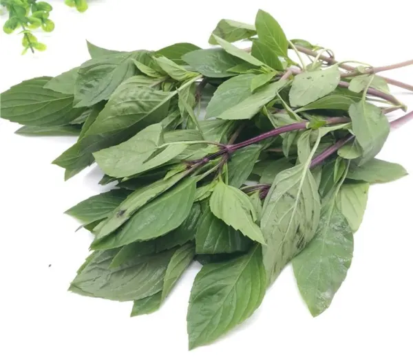 data-fresh-nine-story-towerbasil-boxed