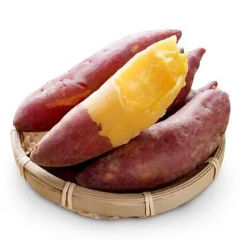 Japanese Sweet Yam