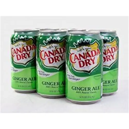 Canada Dry Ginger Ale Mini 6 Cans