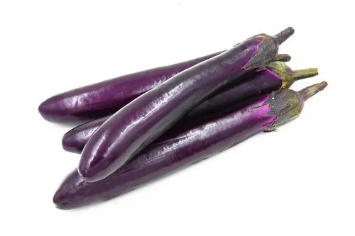 Eggplant