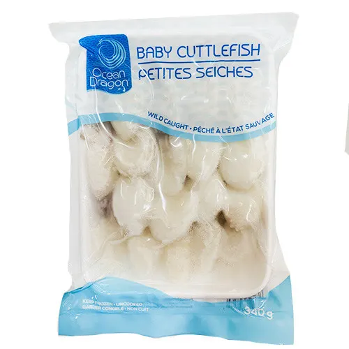 baby-cuttlefish