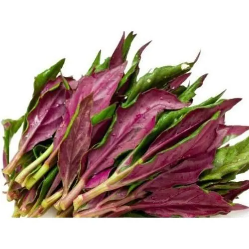 data-purple-back-choy-bag