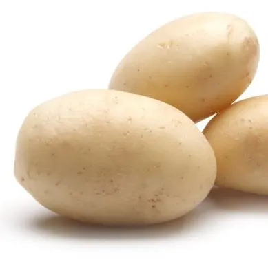 data-white-potato
