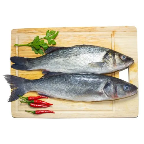 data-green-sea-bass