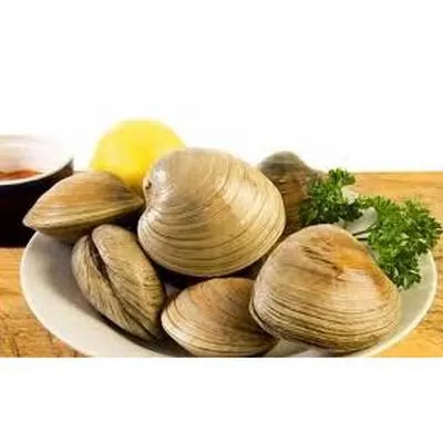 data-fresh-american-clampasta-clams-bag