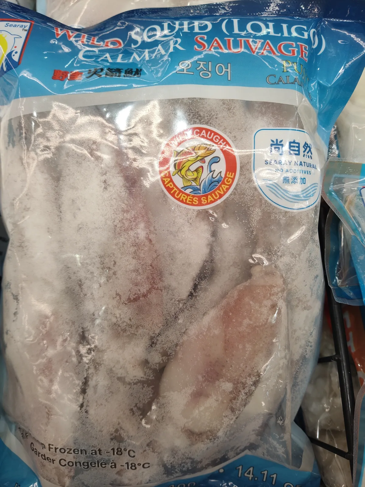 海威野生香港火箭魷魚